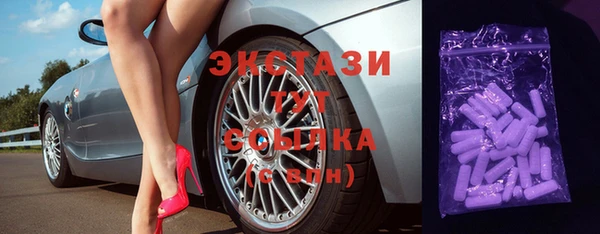 индика Володарск