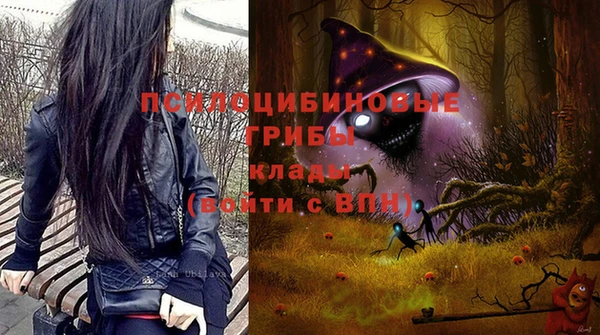 ALPHA-PVP Вяземский