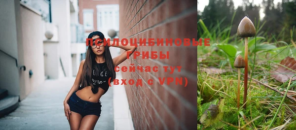 ALPHA-PVP Вяземский