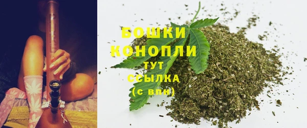 ALPHA-PVP Вяземский