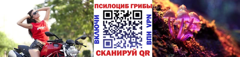 Купить закладки  Красноуфимск  Псилоцибиновые грибы Cubensis 